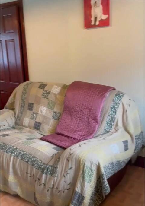 Annie Dee'S Guest Accommodation Ballygowan Zewnętrze zdjęcie